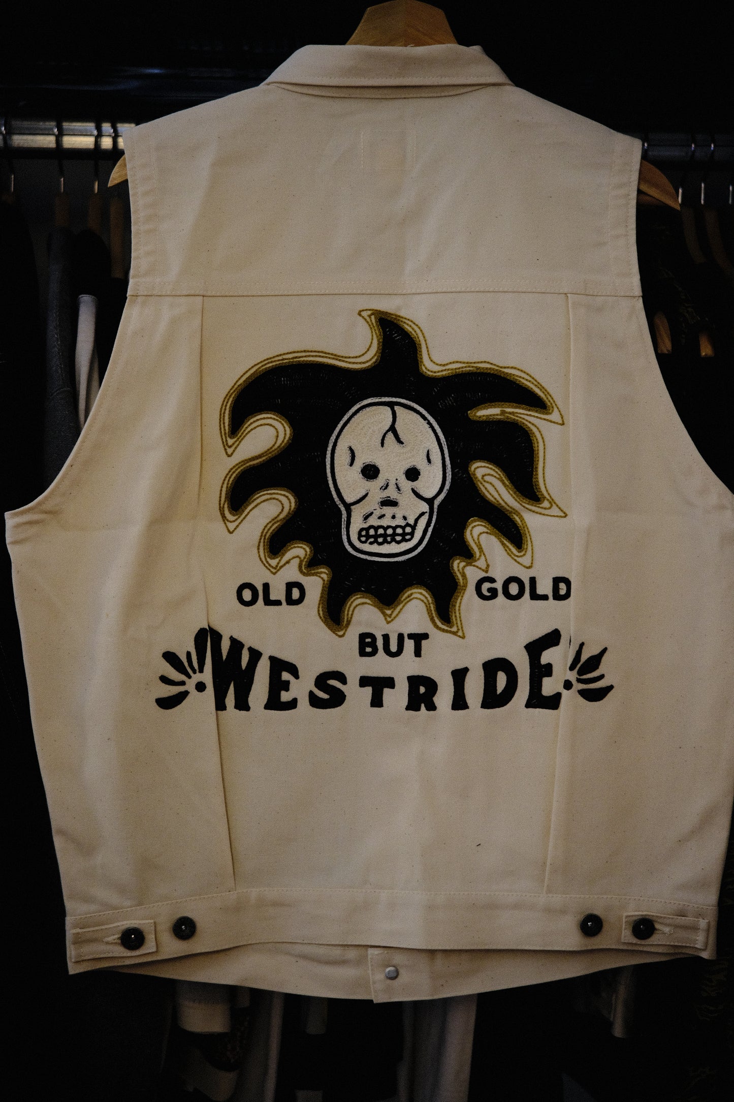 West Ride/ 101 ghost vest